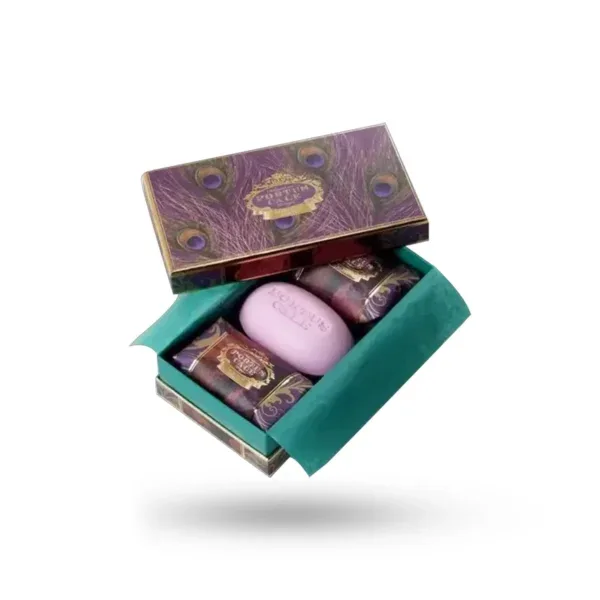 Two Pieces Soap Boxes